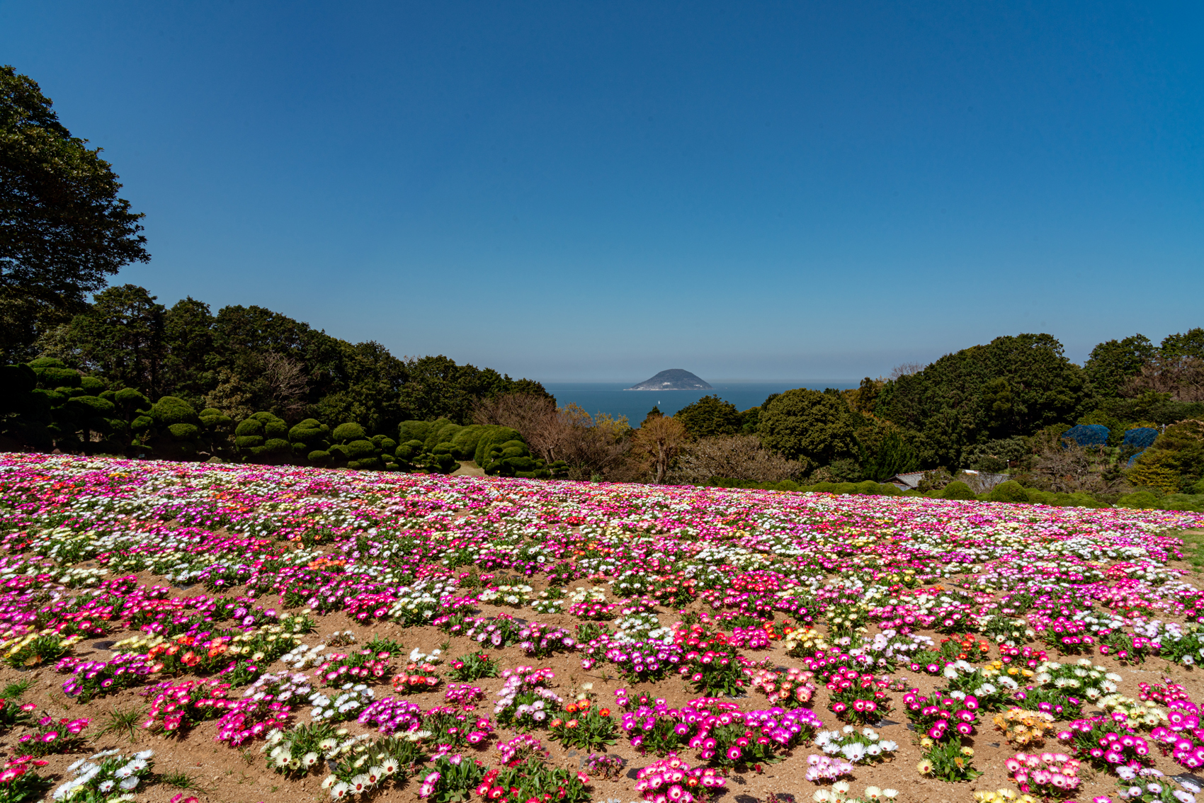 能古島